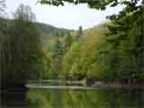 un lac "luminat" de verdele padurii